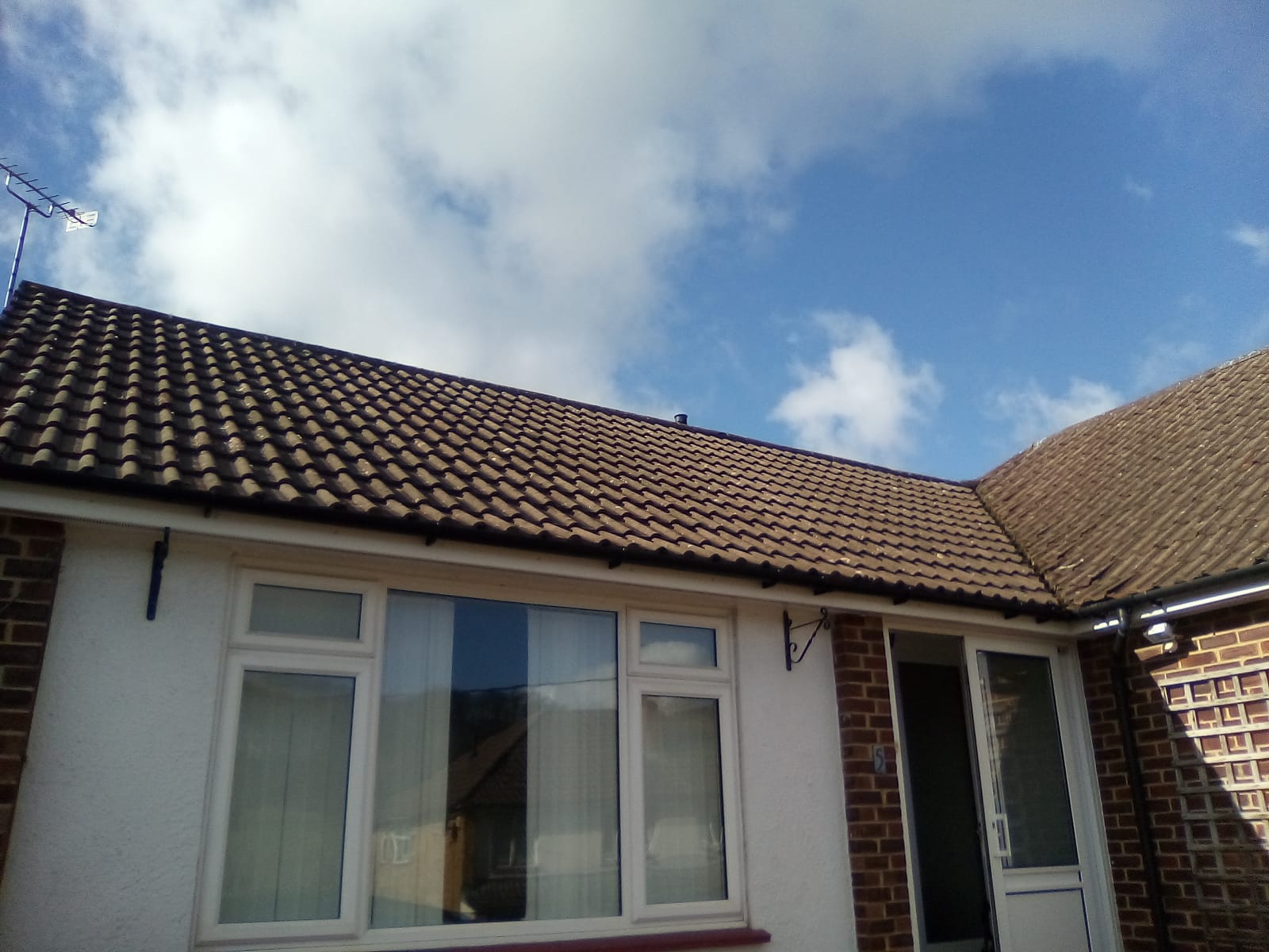 Roof Softwash & Ridge Re-bed — roofing work in the South