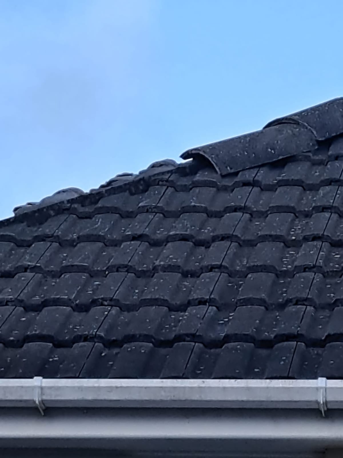 Ridge Tile Re-bed & Repoint — roofing work in the South