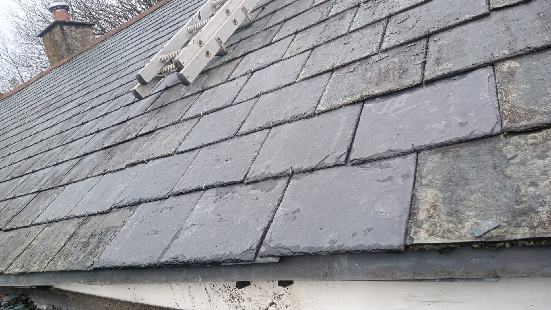 Roof Repairs — Fast, reliable repairs for leaks, slipped or broken tiles and storm damage.