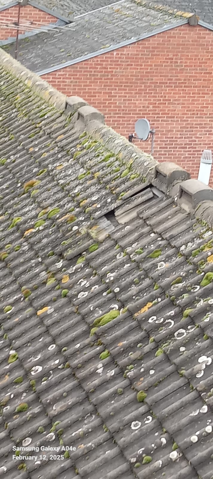 Moss Removal & Roof Clean — South of England
